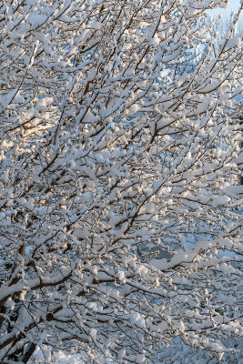 Patterns With Light And Snow