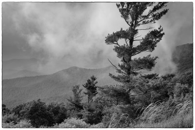 Low Clouds In Shenandoah National Park, Virginia