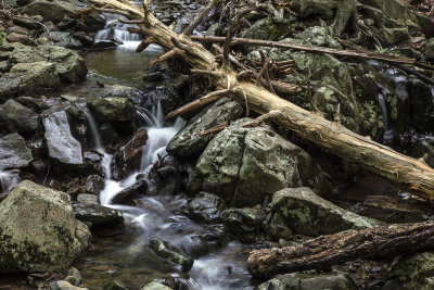 Mountain Stream Near Big Meadows