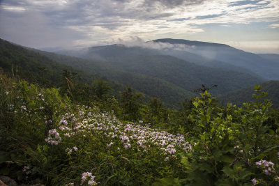 Skyline Drive In Shenandoah National Park