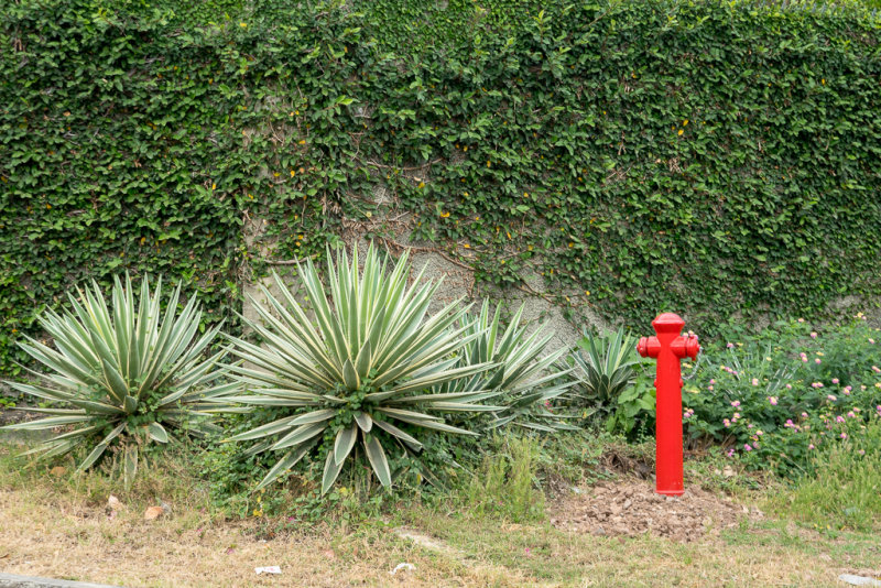 Fire Hydrant - Munroe Road and Canberra Crescent