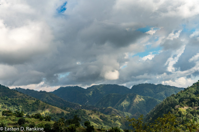 _DSC8035.jpg