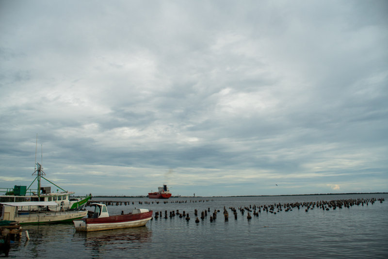 _DSC9185.jpg