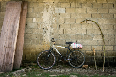 Bicycle with Sugarcane and Guango Planks