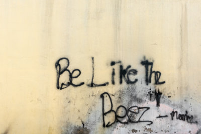 Advice
