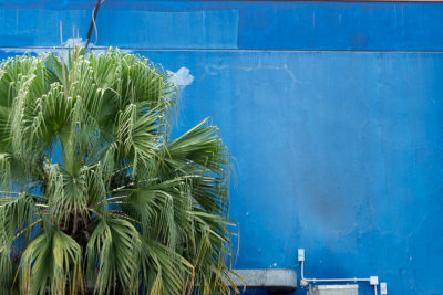 Sea Blue