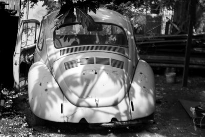 Old Bug