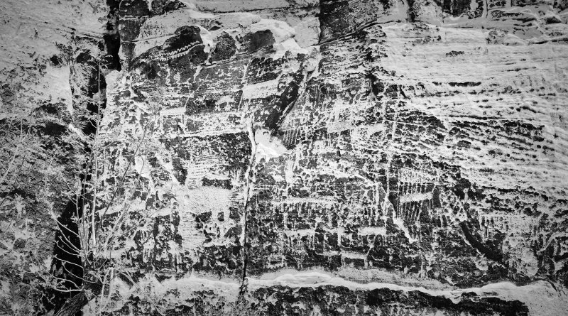 Petroglyph panel at Rock Art Ranch, Sedona AZ