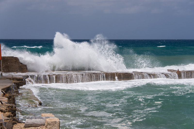 DSC_7269.jpg