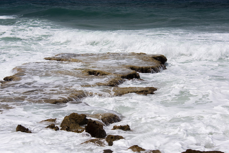 DSC_7300.jpg