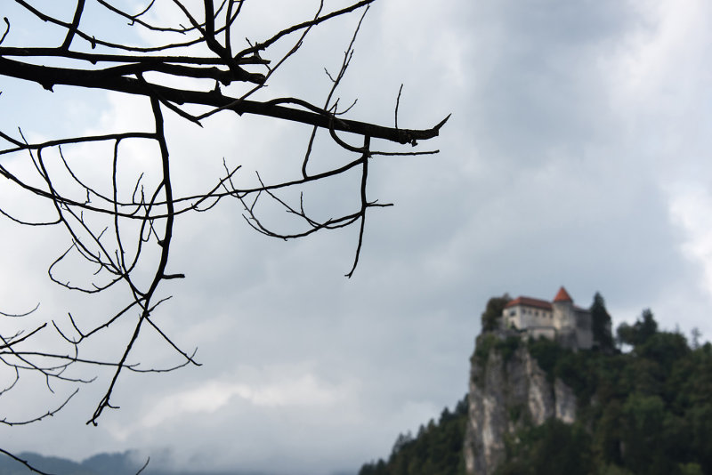 Bled castle
