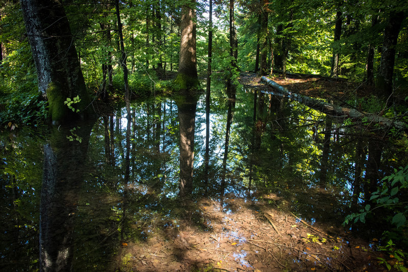 Plitvička jezera