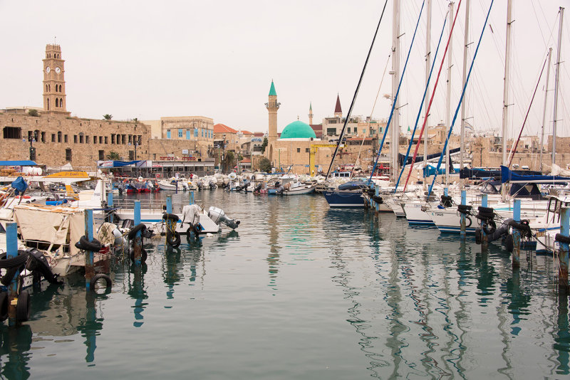 DSC_0228.jpg