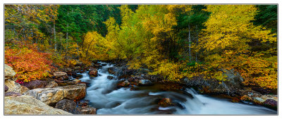 Fall colors in Big cottonwood canyon.