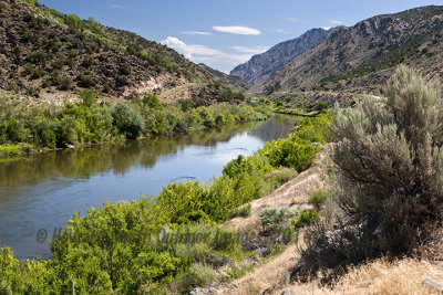  Rio Grande, NM