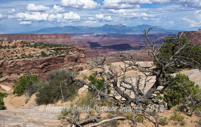 Canyonlands NP overlook #7, UT