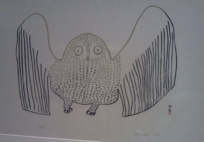 Startled owl, 1966