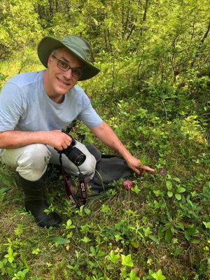 Benoit Dorian, orchid expert and our Quebec guide, with Arethusa bulbosa. Lac des Joncs fen 7/4/2018