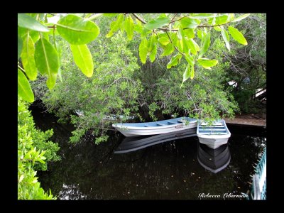 Boats in La Manzanilla Jal. Mexico.jpg