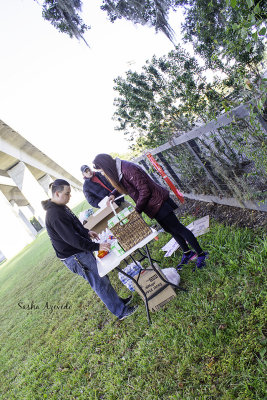g10/09/1271309/3/168502413.ACfqsA7W.jpg