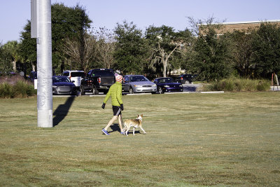 2018 Purple Haze 5K And Dog Dash