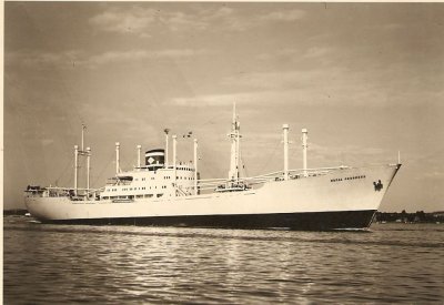 M/S Nopal Progress.jpg