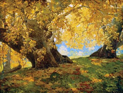 c. 1917 - Sycamore in Autumn, Orange County Park, California