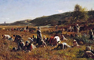 1880 - The Cranberry Harvest, Island of Nantucket