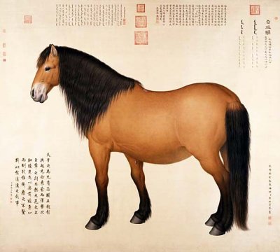 Horse