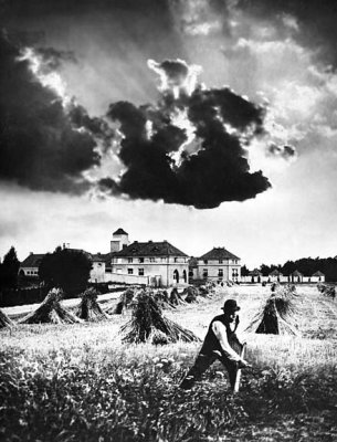 c.  1910 - Harvest