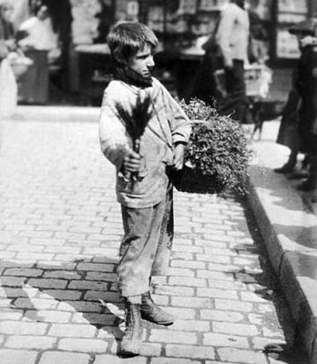 c. 1899 - Herbs seller