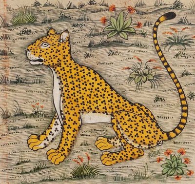 c. 1650 - Illustration from Farah's Encyclopedia of Nature