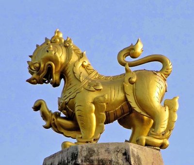 Image of a singha