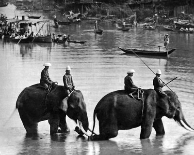 c. 1890 - Riding elephants