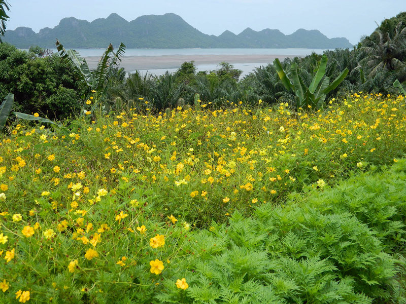 view of the bay.jpg