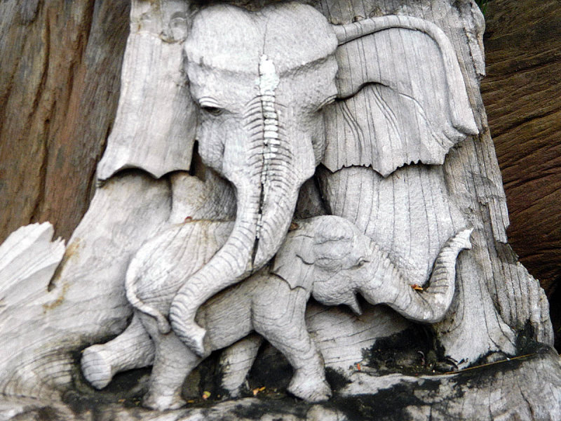 maternal elephant carving.jpg