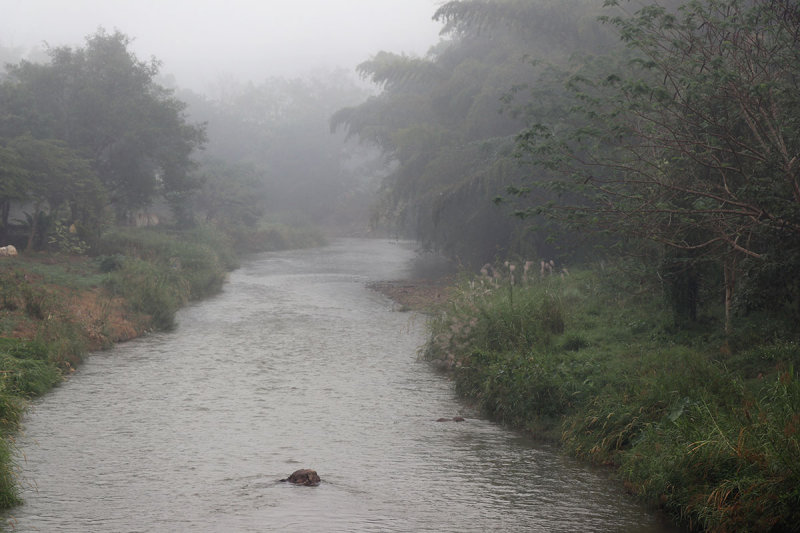 foggy river.jpg