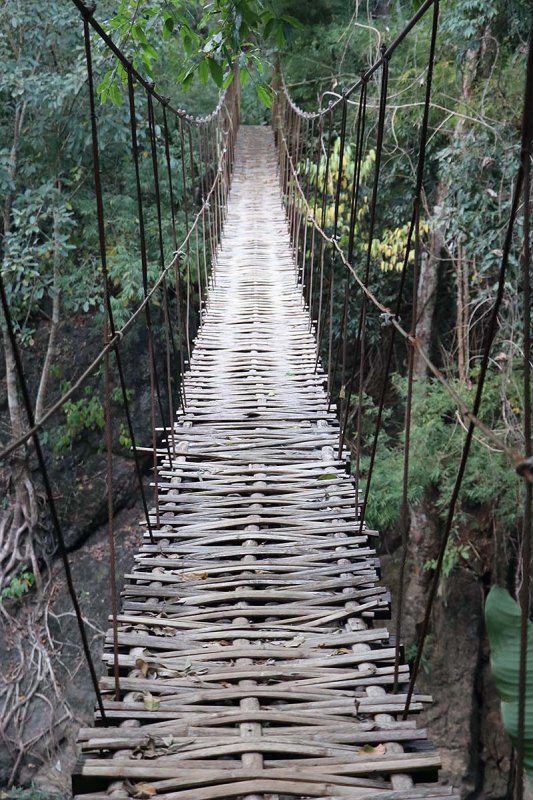 bamboo river crossing.jpg