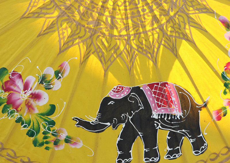 elephant on yellow.jpg