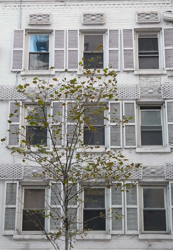 townhouse and trees.jpg