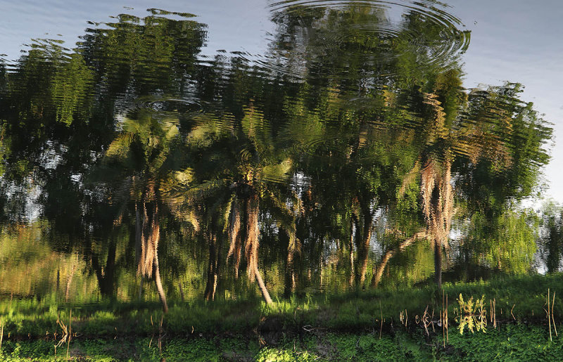 reflections.jpg