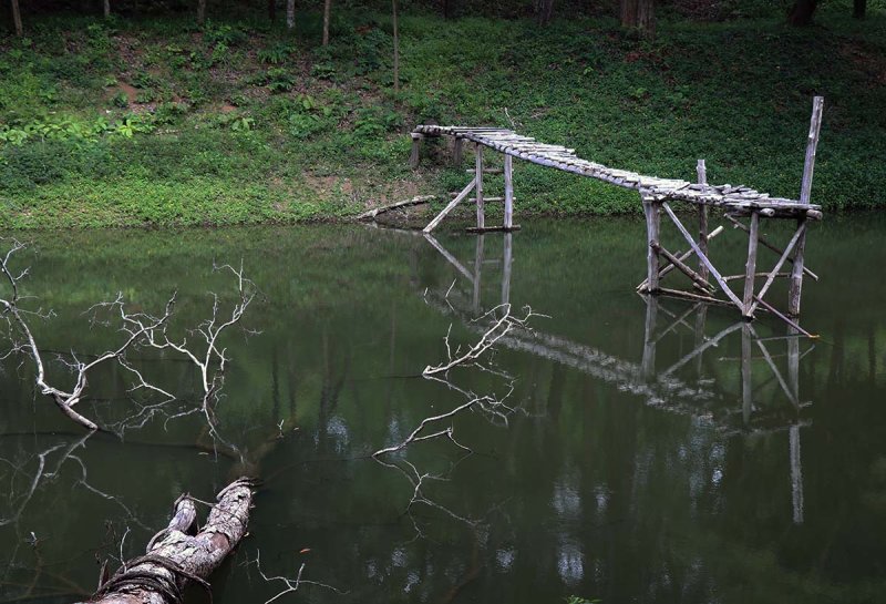 dock and branches.jpg