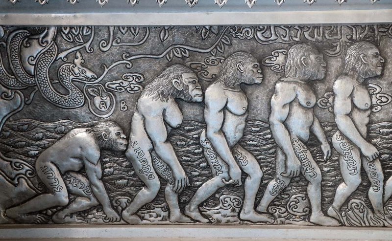 evolution in stages.jpg