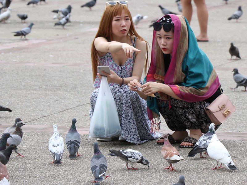 feeding the birds.jpg