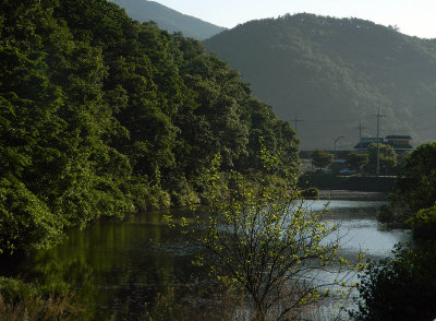 Korea Green