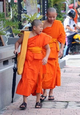 young_monks_in_the_world.jpg