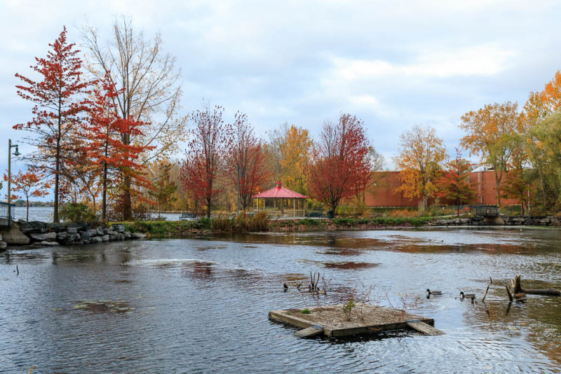 Turtle Pond