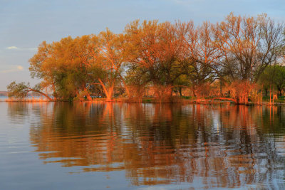 Trees in West Zwicks Park reflected in the Bay of Quinte