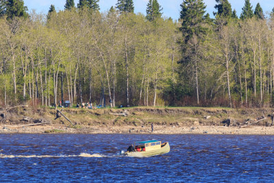 Tidewater Park on Charles Island in the Moose River
