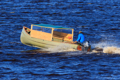 Canoe on the Moose River 2017 June 4th.